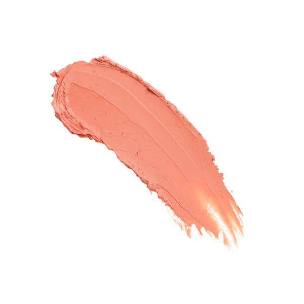 Revolution Pro New Neutral Satin Matte Lipstick Reveal